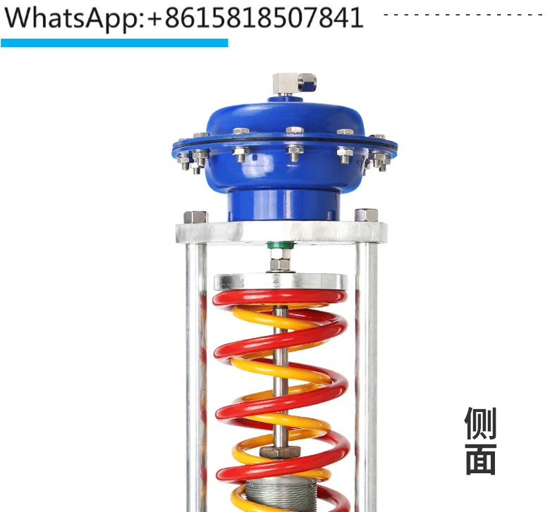 ZZYP Steam Pressure Valve Nitrogen Stable High Temperature Constant Gas Backpressure Valve