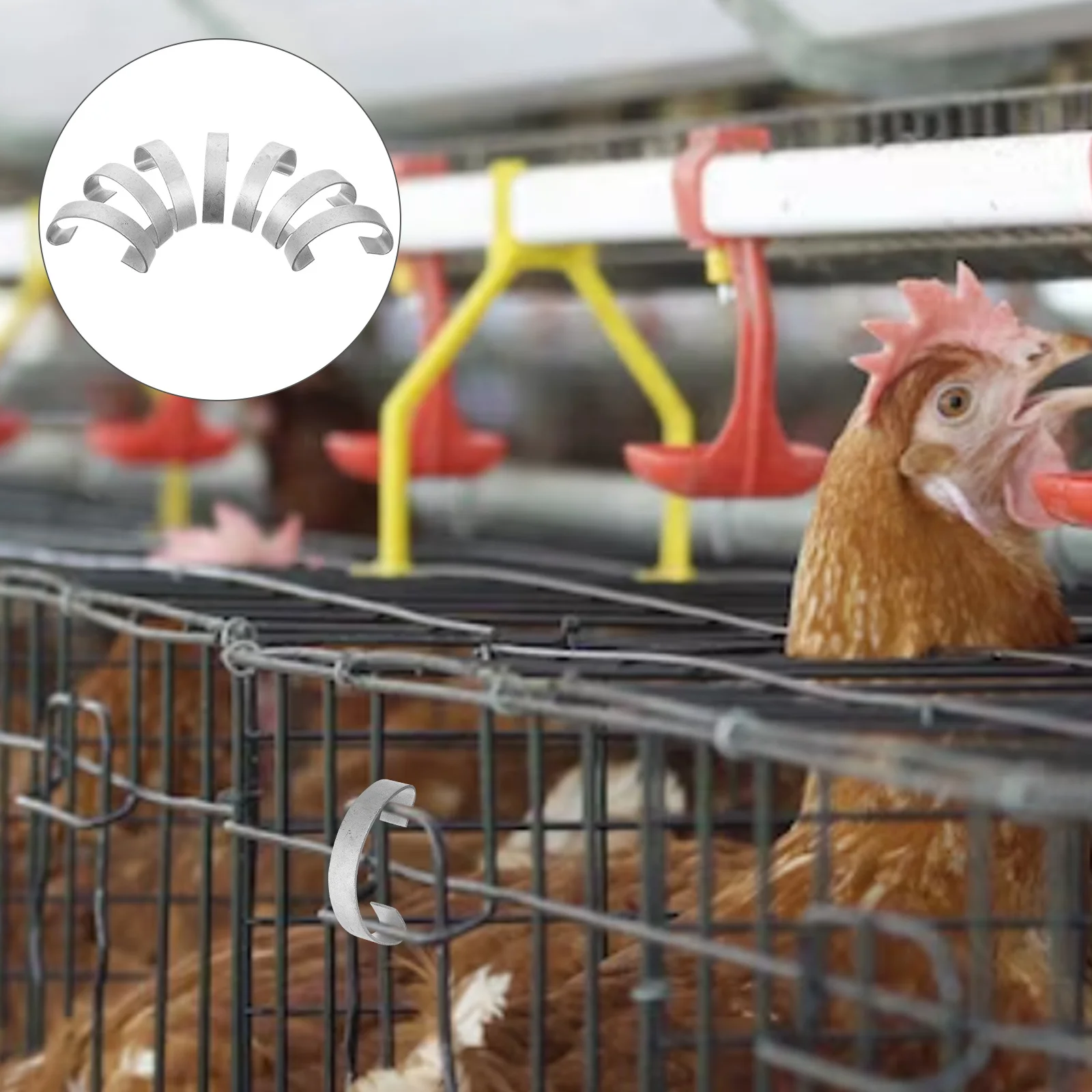 

20pcs Chicken Cage Hook Steel Wire Tension Spring For Rabbit Bird Pigeon Quail Cage Door Locks Metal Snap Hook Breeding