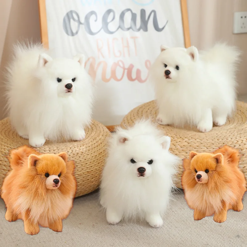 Simulatie Schattige Echte Leven Pomeranian Hond Knuffel Kawaii Knuffel Dier Zachte Puppy Huisdier Pop Voor Kinderen Meisje Xmas Geschenken Huisdecor