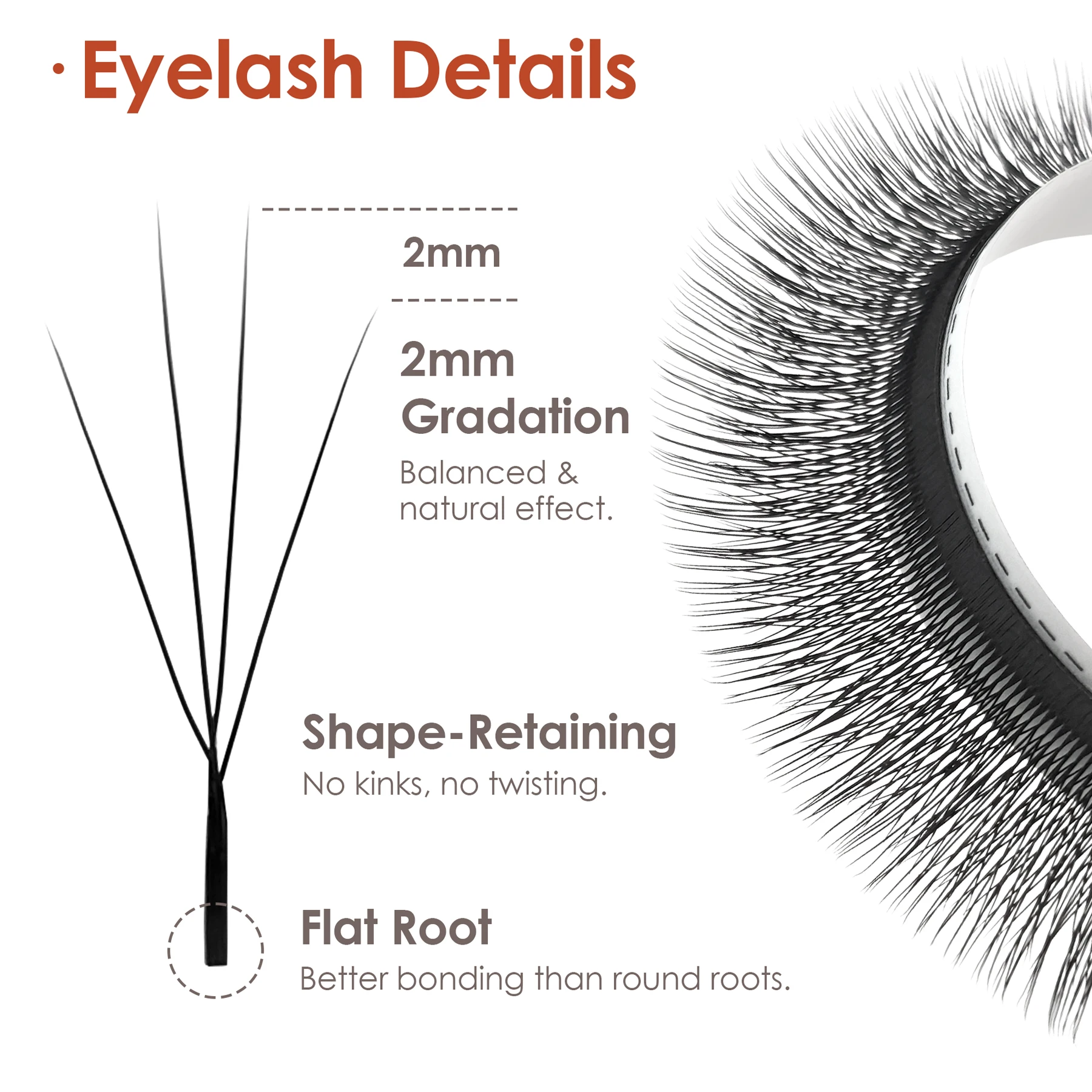 SEEDEW W-Form Wimpernverlängerungen Schmale 3D/4D/5D W Spark Clover Lashes Wispy Vorgefertigte Volumenfächer Falsche Wimpern – Detail 3