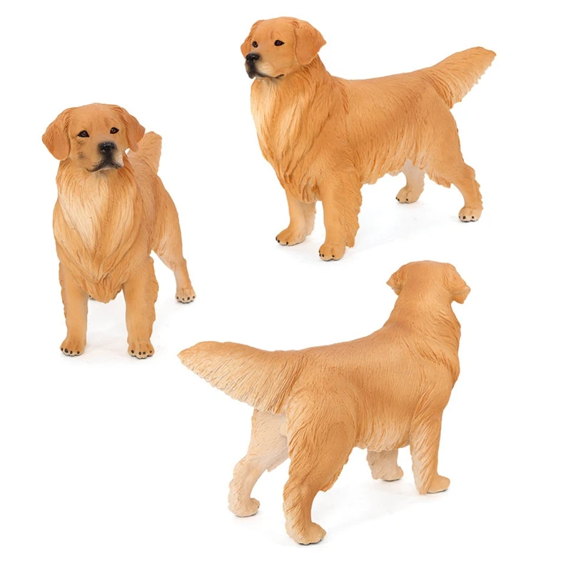 Simulation Animal Dog Model Big Golden Retriever Pet Dog Science Education Models Childrens Gift Toys