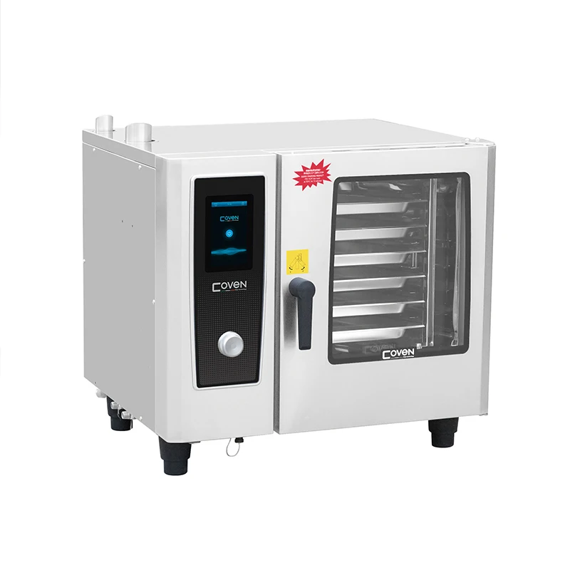 6/10 Trays Professional Electric Stainless Steel Combi Steam Oven with Cooking and Baking Functions for Restaurants