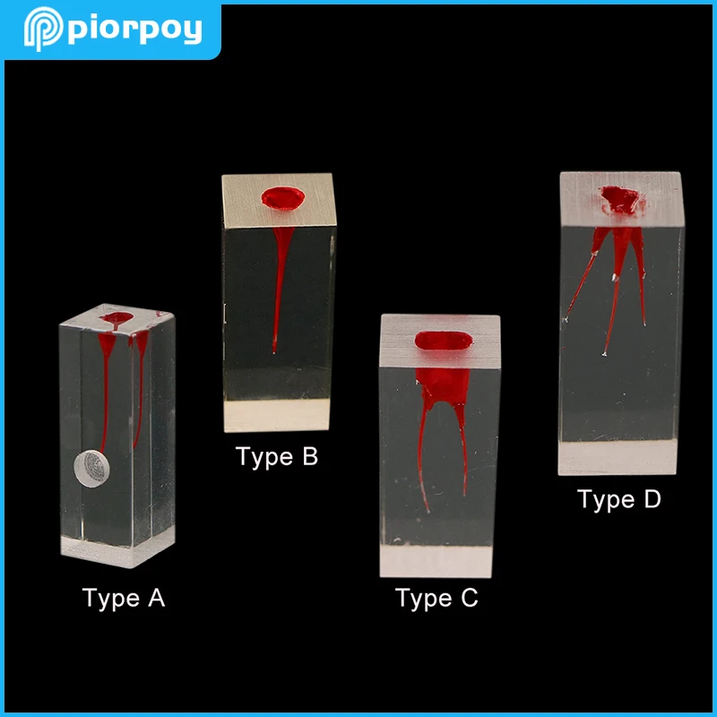 Dental Tooth Model Endodontics Root Canal Block RCT Practice Pulp Cavity Endo Training Dentistry Education Teaching Resin