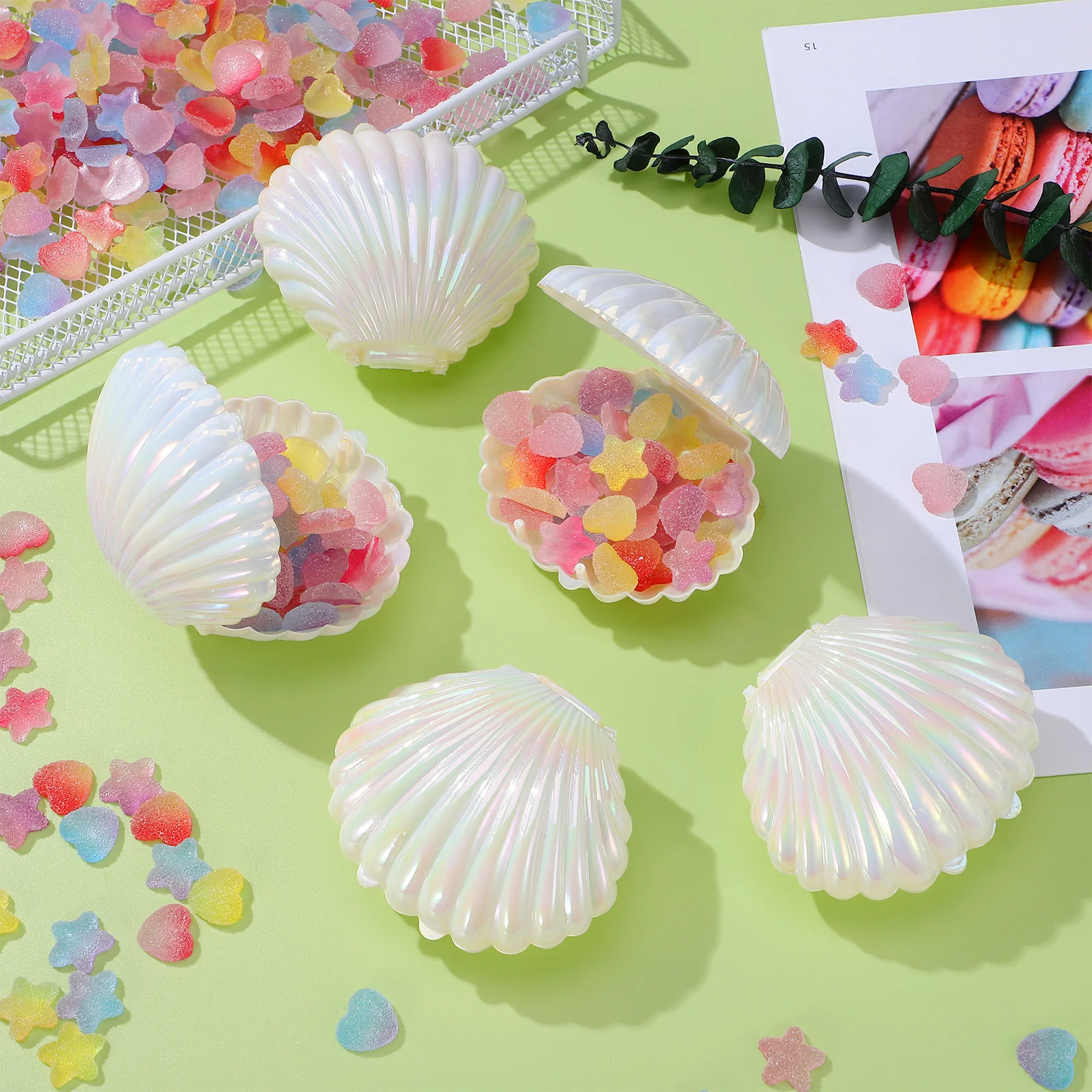 30 Pcs Showcase Gift Box Pool Party Candies Seashell Jewelry Pp Dish Boxes for Candy