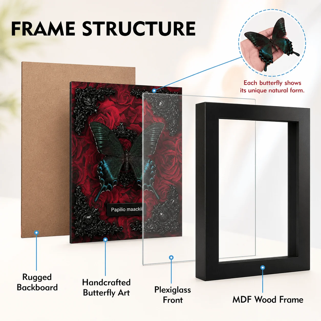 Framed Butterfly Decor, Wall or Desk Display with Gift Box and Bag, Nature Lover Gift