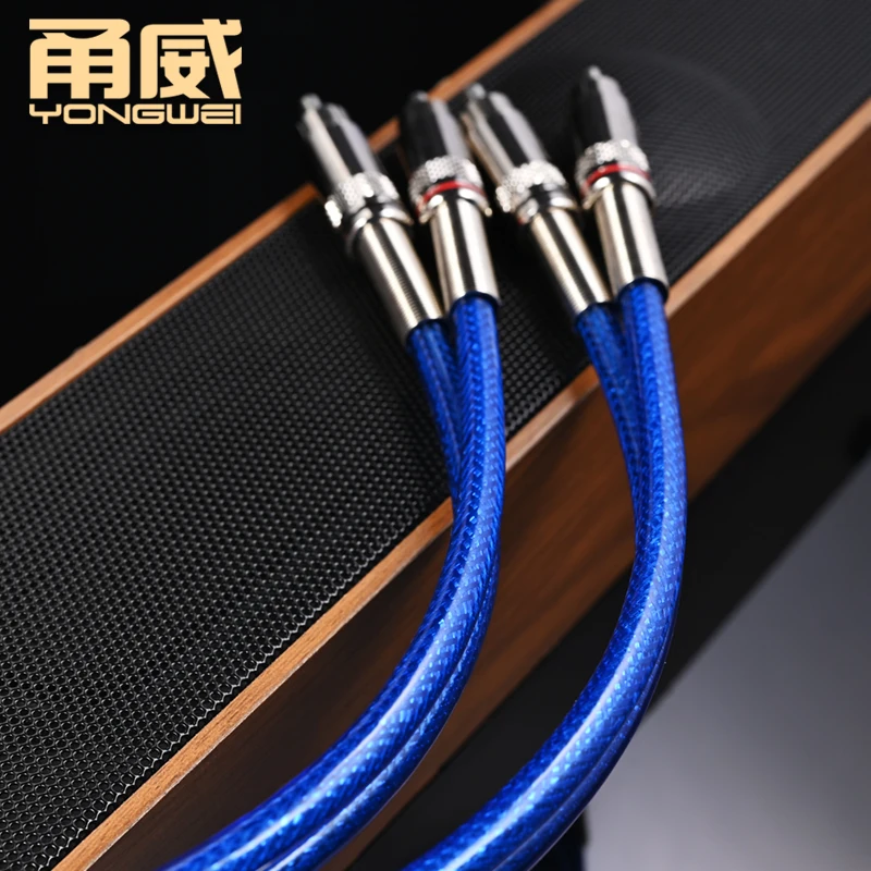 YONGWEI 1 Pair 2RCA to 2 RCA Male to Male Audio Cable Gold-Plated RCA Audio Cable for Home Theater DVD TV Amplifier CD Soundbox