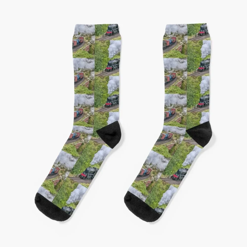 

62005 K1 Class Goods Train Socks cute designer Socks Woman Men's