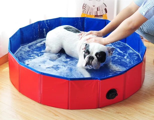 

Portable Foldable Dog Bathtub Grooming Tub Summer Plastic Pet Dog Swimming Pool