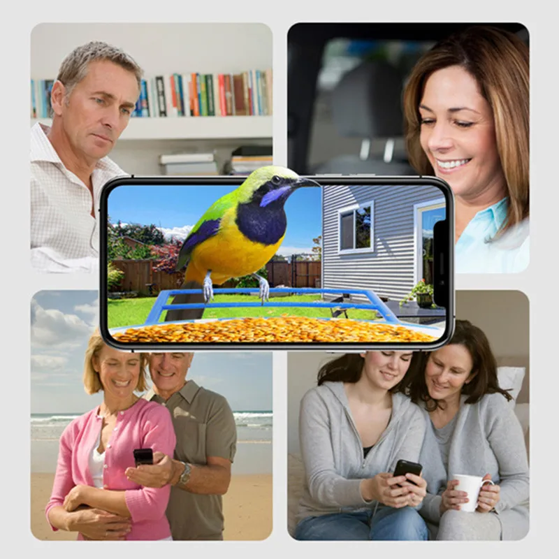 STLFApp Remote Intelligent Smart Bird Food Water Feeder with CamerassAi Recognize 10000 Birds