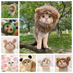 Variety of Cat Headwear for Dressing Up Lion Mane Rabbit Ears Frog Hat Bear Cap Funny Pet Costume Accessories Pet Items Cat Hat