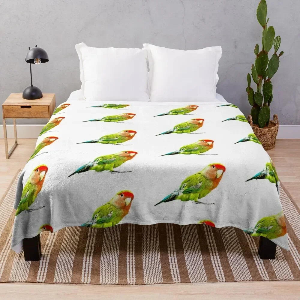 Love Birds Peachface Lovebird Throw Blanket Luxury Brand Beautifuls manga Blankets