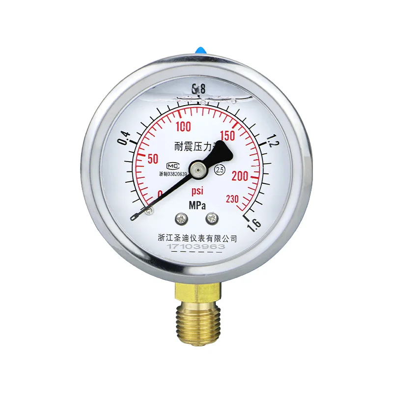 MAIRUIKE Glycerin Filling Pressure Gauges 62.5mm(2.5 inch) 1mpa Stainless Steel Case  Brass Joint Manometer for Water Oil  Gas