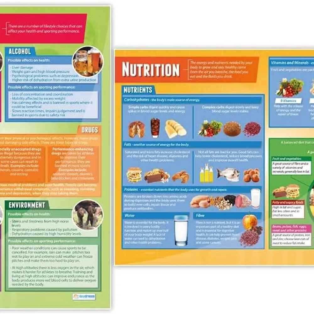 مجموعة ملصقات الفصول الدراسية كبيرة جدًا مقاس 33 × 23.5 من Daydream: الصحة واللياقة البدنية والراحة لـ PE والمدرسة المتوسطة والثانوية