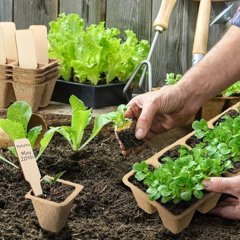 Набор-для-выращивания-рассады-50-горшков-с-мохом-для-проращивания-семян-контейнеры-для-рассады-аксессуары-для-садоводства