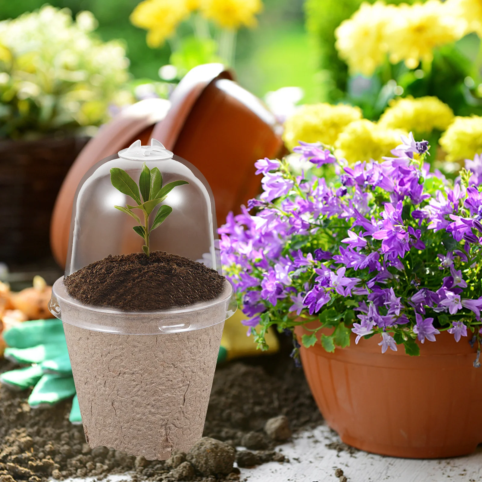 

10pcs Paper Degradable Planting Pots Biodegradable Nursery Containers For Home Balcony Garden Flower Growing Succulent Planter