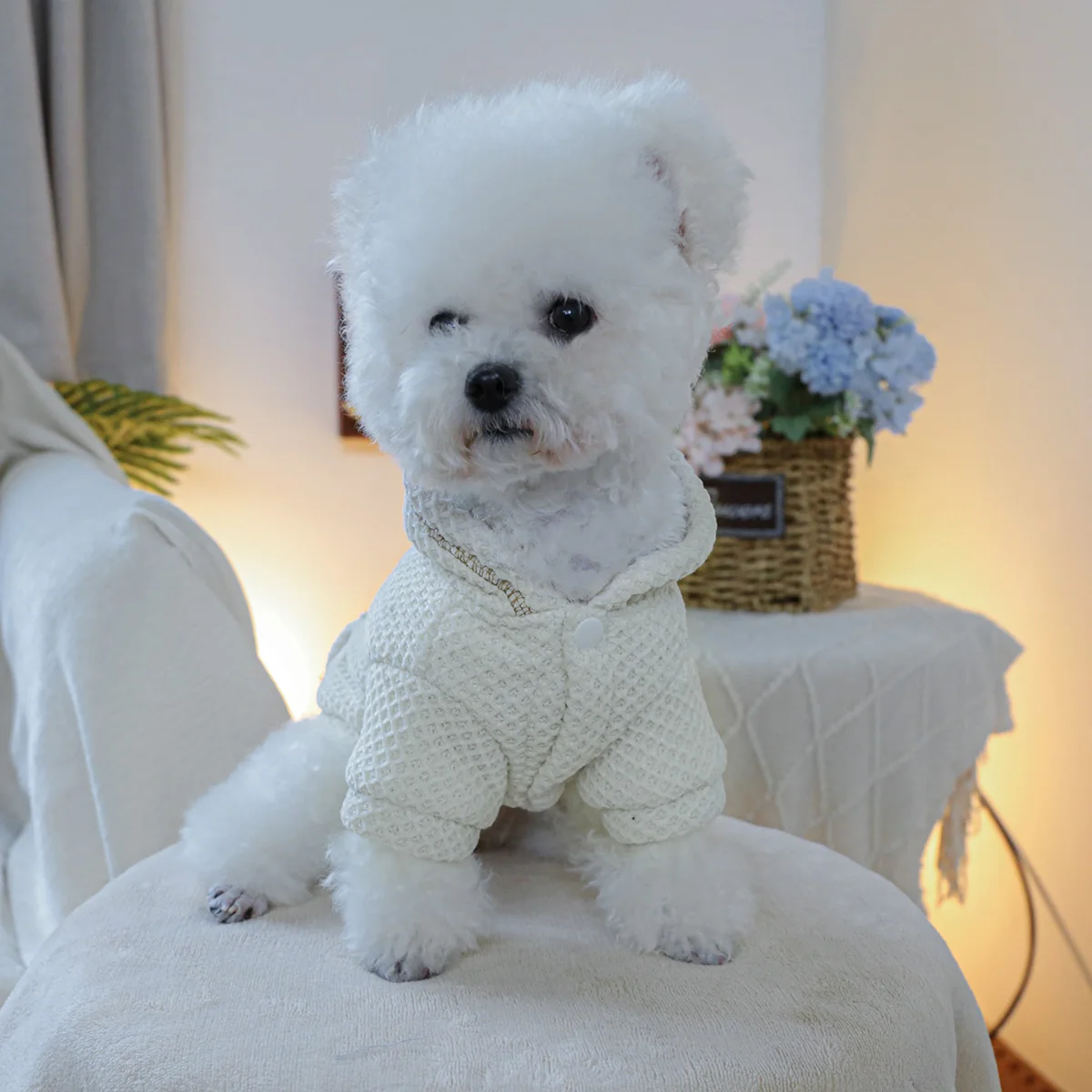 1PC Pet Clothing Plan A Hoodie for Autumn and Winter Thickened Warm Rice White Coat Suitable for Small and Medium sized Dogs