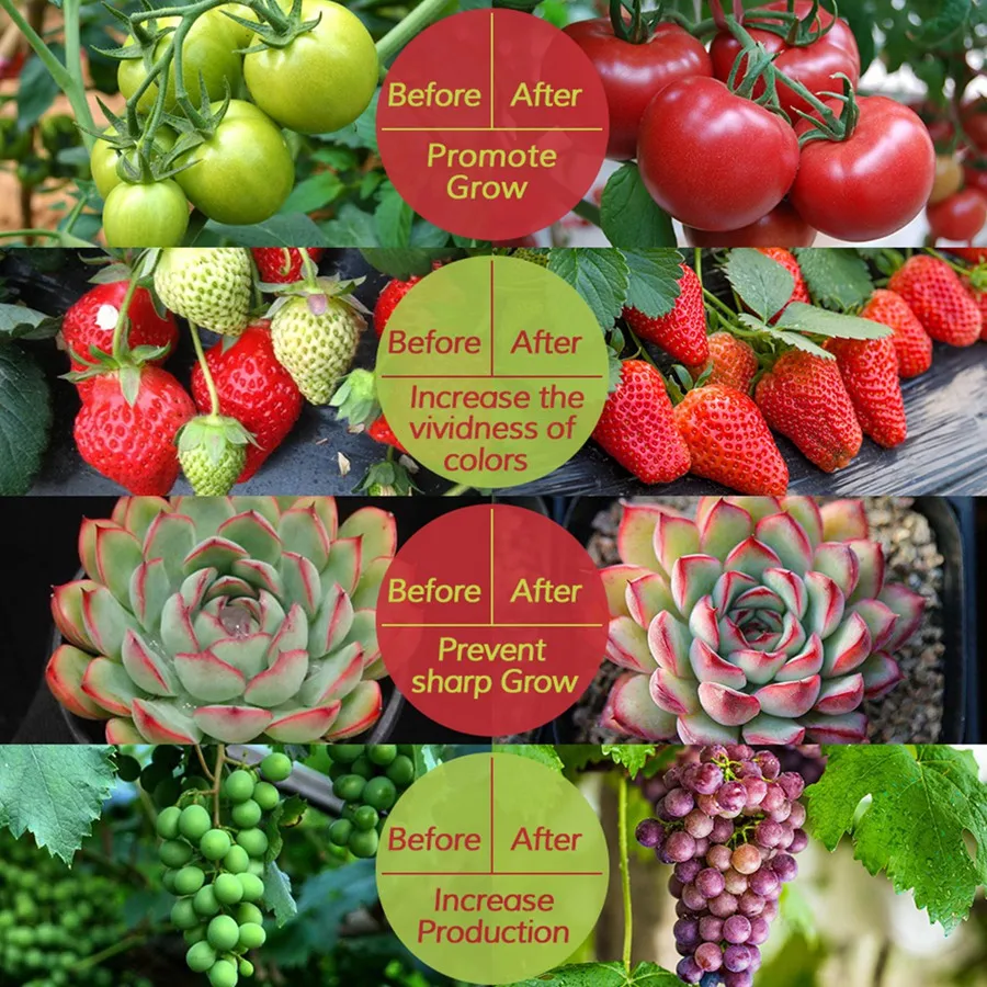 Luz LED de espectro completo para cultivo hidropónico, tira de luz de 5V, USB, 2835 LED, lámparas Phyto para plantas, invernadero, 100cm
