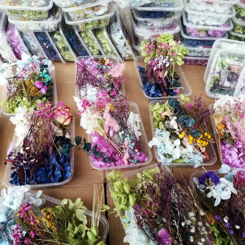 Y1UB 1 Box Real Mix Dried Flowers for Resin Jewellery Dry Plants Pressed Flowers Making Craft DIY Accessories