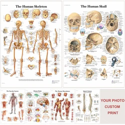 Anatomy and Physiology The Body Structure Poster Custom Posters Self-adhesive Home Medical Room Decor Skeleton Art Wall Sticker