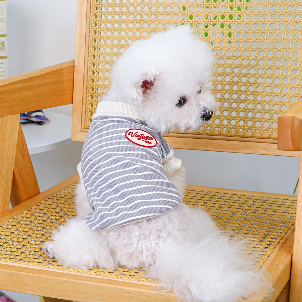 Thumbnail 2 - #2 Compare Dog Jumpers Before You Buy