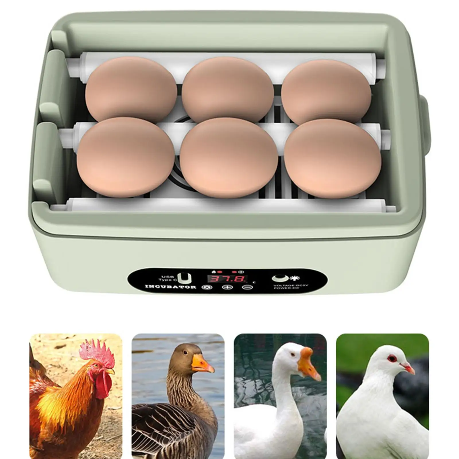 Mini 6 Eggs Incubator Hatcher Digital Poultry Temperature Control Egg Candler for Birds Goose Chicken Duck Quail Supplies