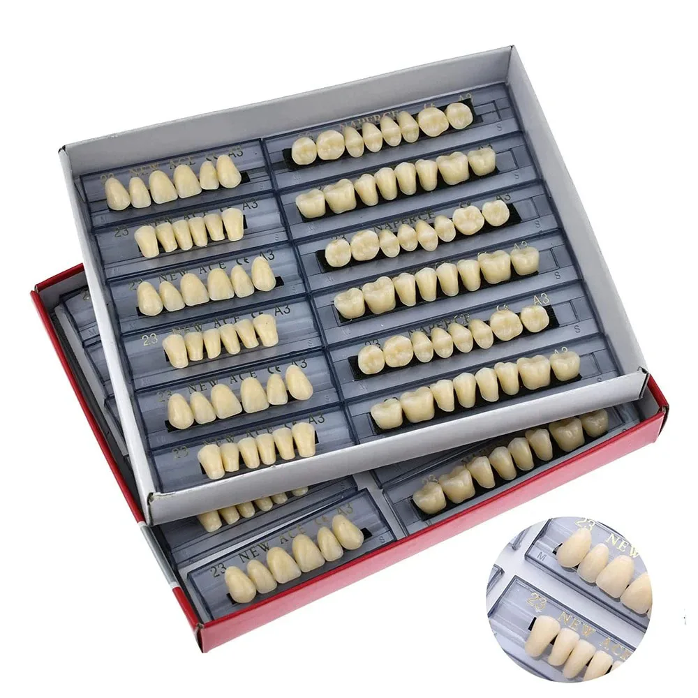 

1BOX/168PCS Dental Synthetic Resin Teeth Two-Layer Shade A2 A3 Upper Lower Anterior Posterior Full Mouth Fake Denture Tooth