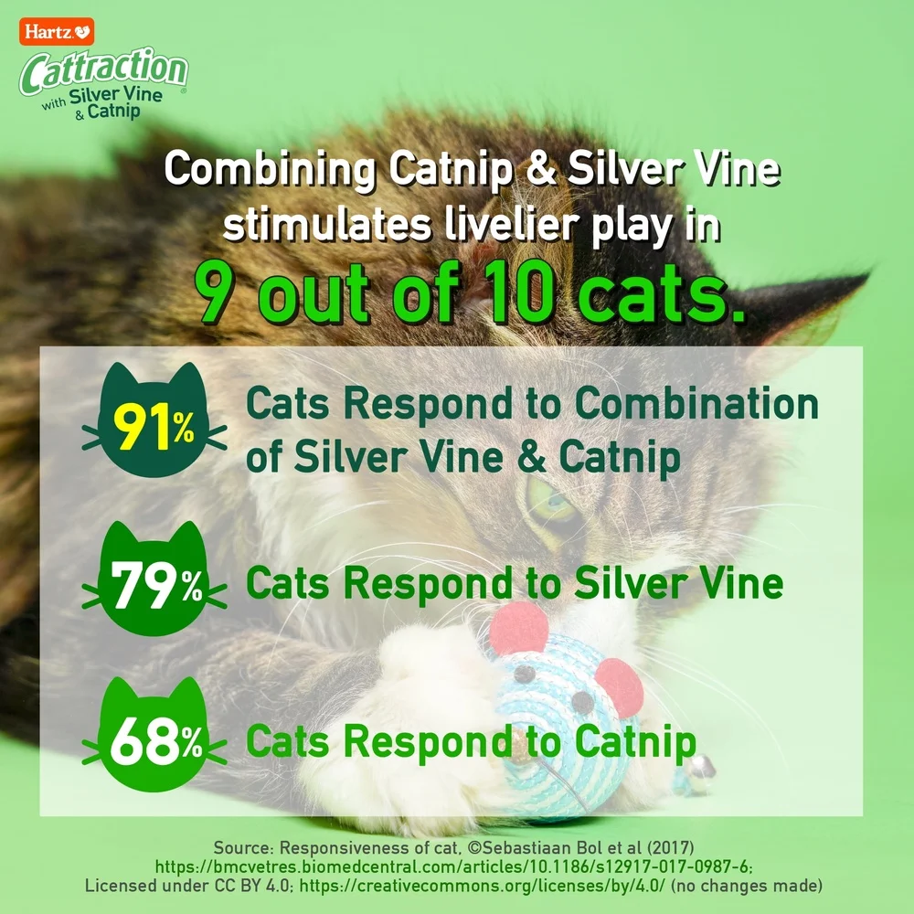 

Cattraction Cat Toy Variety Pack 20 Count with Silver Vine Catnip Natural Cat Attractants Multi-Cat Households Interactive
