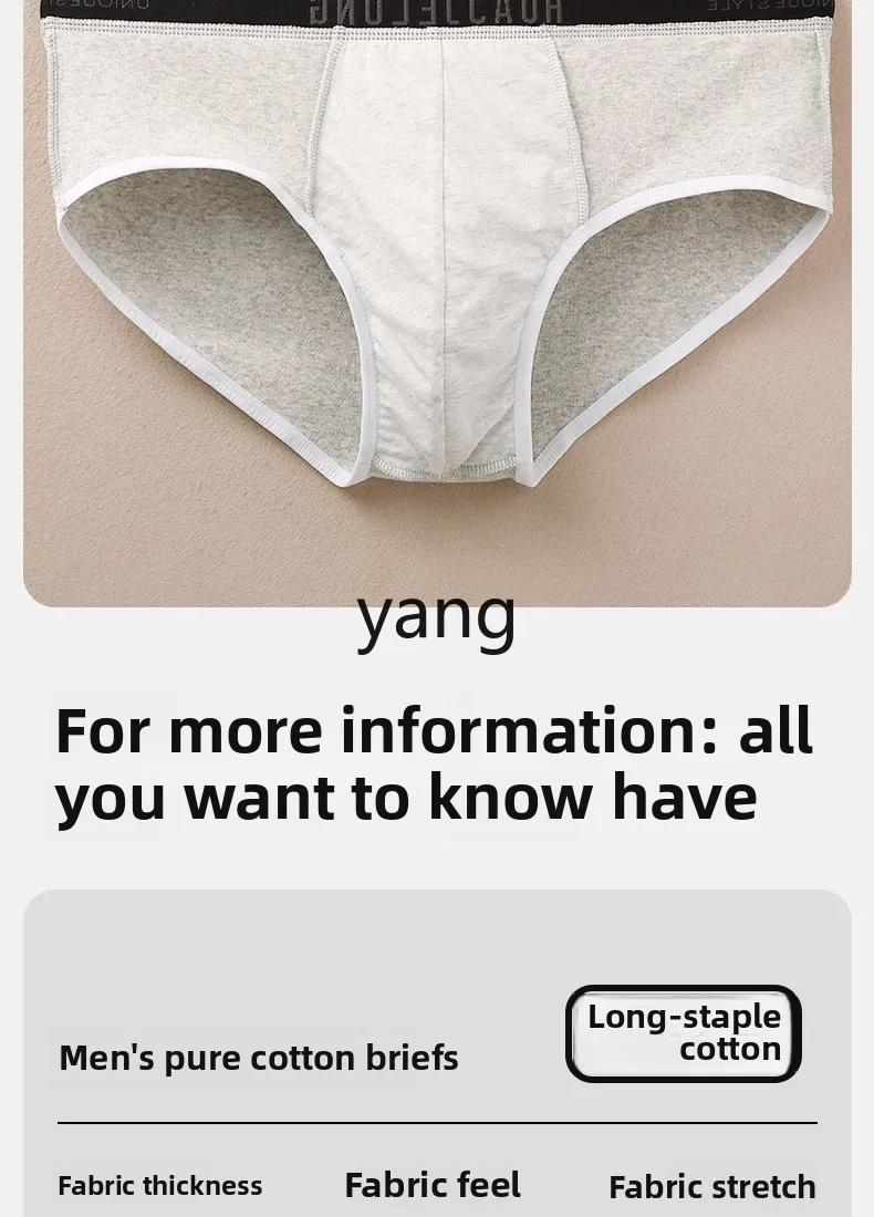 LMM men's briefs pure cotton summer thin breathable briefs