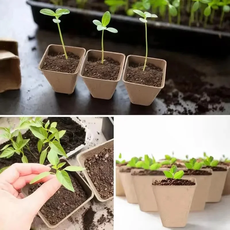 

New Plant Pots Nursery Cups Garden Tray Biodegradable Paper Pulp Peat Pots 6/8cm Plant Grow Bags For Home Garden Accessories
