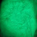 Color 7-luminous-