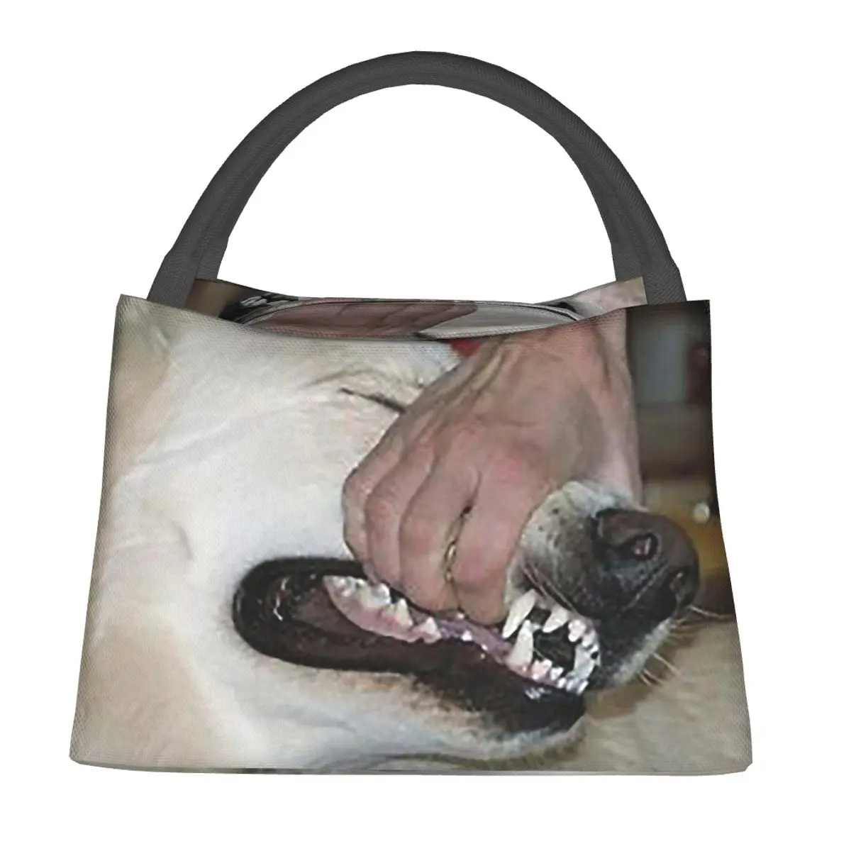I'll Be Okay By Sign Crushes Motorist Insulated Lunch Bag for Women Kids Portable Food Boxes Thermal Lunch Box Tote