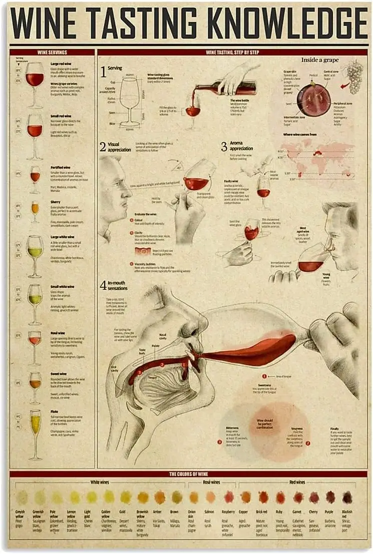 Letreros Metálicos de Metal Youpinnong con Conocimientos sobre la Degustación de Vinos, Infografías de Degustación de Vinos, Pósters Retro, Placas con Guía de Degustación de Vinos para el Hogar