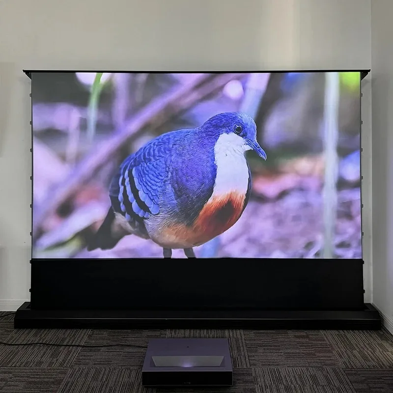 motorized projector screen