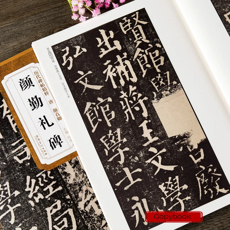 

Calligraphy Copybook Yan Style Regular Script Copybooks Caligrafia Chinese Brush Calligraphie Practice Detailed Tutorial Caderno