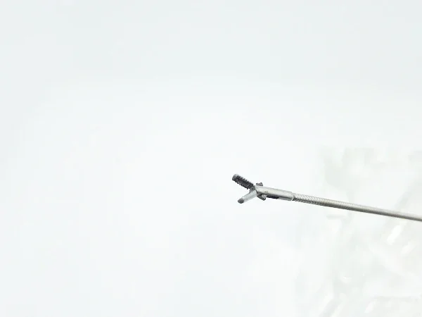 Pinza per cistoscopia medica per urologia chirurgica