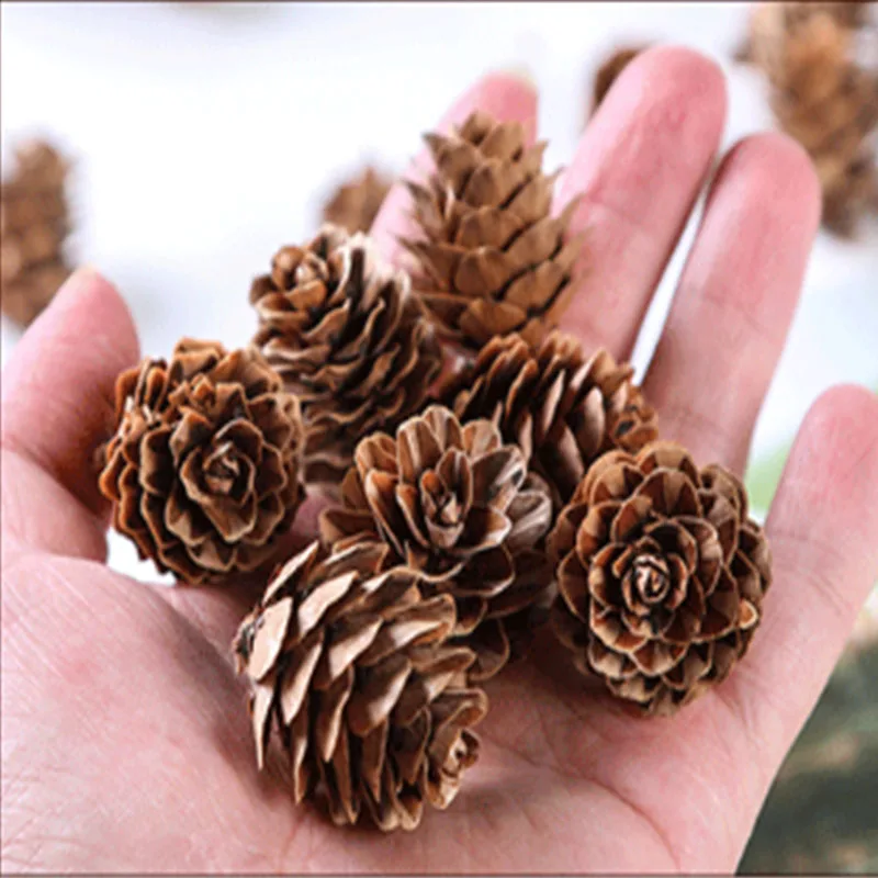 10PCS/lot 1-2cm Mini Pine Cones DIY Handmade Craft Christmas Hanging Ornaments Photo Props Accessories