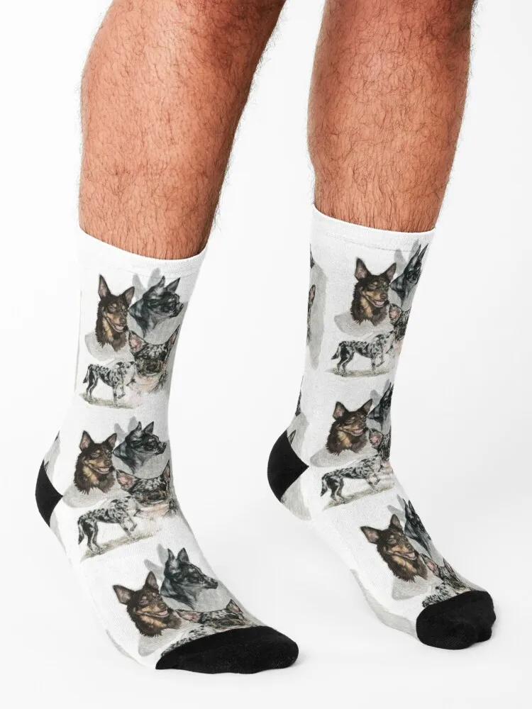 Australian Koolie Medley Socks anime halloween loose short Socks Ladies Men's