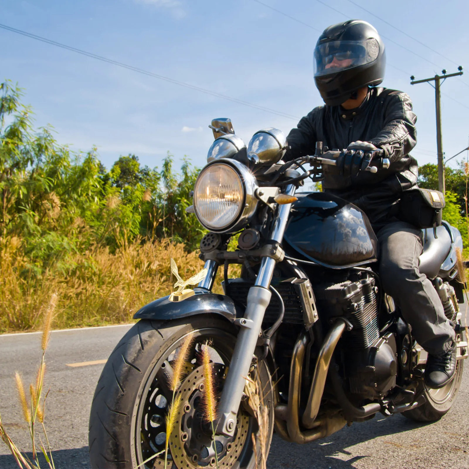 

1 шт., передний орнамент для мотоцикла, значок с орлом из цинкового сплава, 3D эмблема мотоцикла, украшение, универсальный, прочный