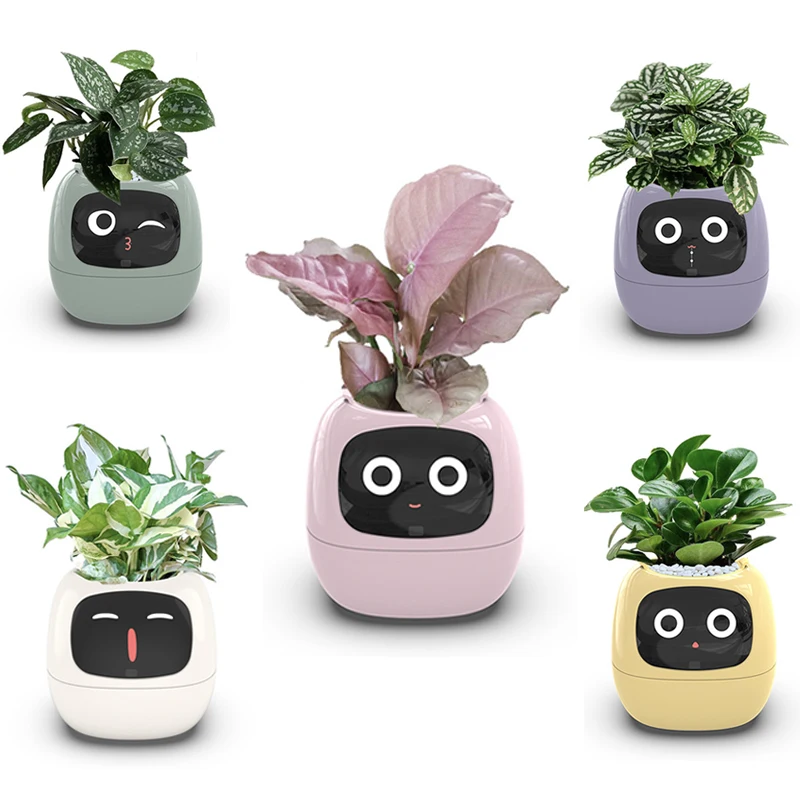 وعاء زهور روبوت للعناية بالنباتات للحيوانات الأليفة مع دليل النمو لعرض درجة الحرارة لعبة التعبير العاطفي للأطفال والبستانيين #1
