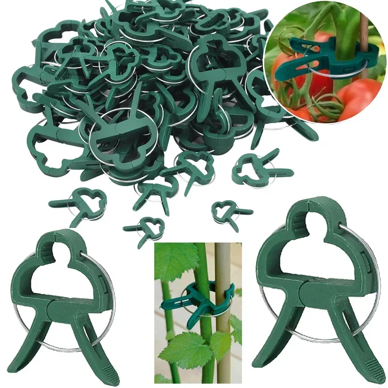 

Plant Clips Garden Clips for Tomato Cage Bamboo Stakes Climbing Vines Fixed Plants Flower Trellis Clips for Plant Stalks Stems