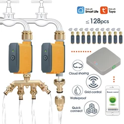 Adattatore in ottone Tubo flessibile Valvola di irrigazione ZigBee Wifi Timer per acqua Smart Rubinetto Sprinkler Controller con hub Kit automatico per giardino agricolo