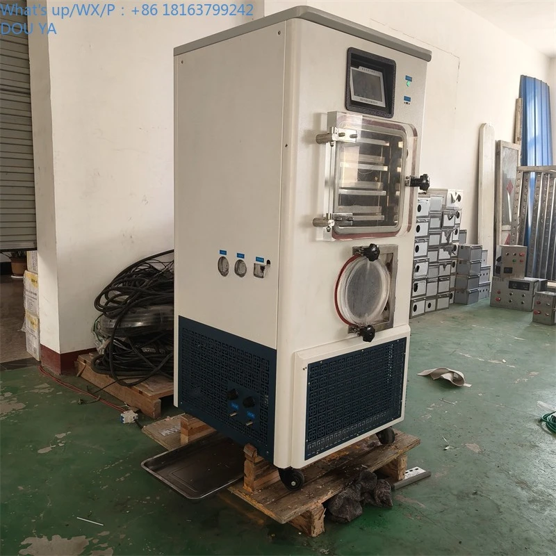 소형 상업용 동결건조기 진공 동결건조기 애완동물 사료 및 과일 및 채소용 동결건조기