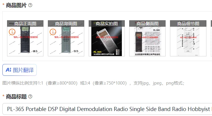 PL-365 Portable DSP Digital Demodulation Radio Single Side Band Radio Hobbyist Receiver