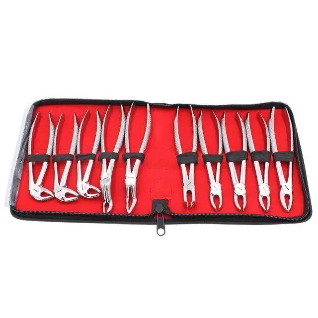 

Dental stainless steel adult tooth extraction forceps set oral instruments ten tooth extraction forceps for adults