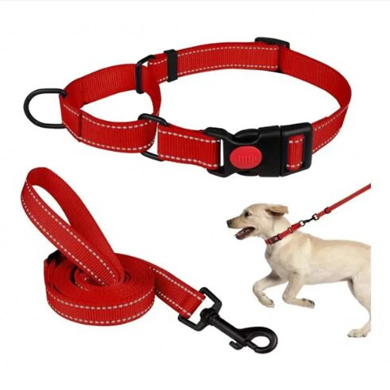 

Dog Pet Set Collar Night Reflection Walking Trainning Leash Breathable Adjustable Collar Safety Nylon Traction Rope