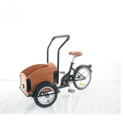 Mini Cargo Bike with Ball Pedal Load 150KG Tires 12''/16'' 3 Wheel Reverse Tricycle for Kids Pets Customized