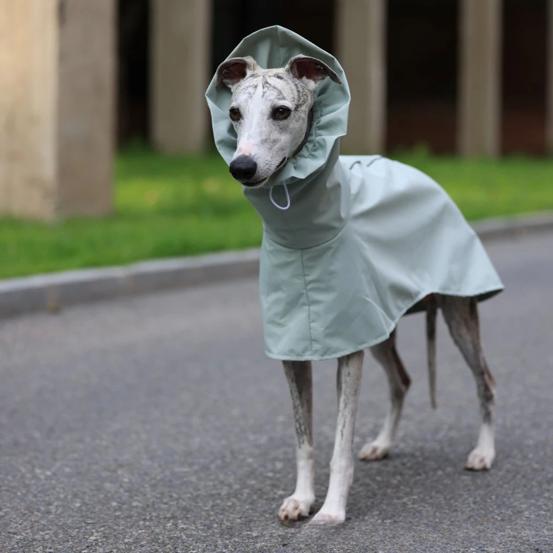 Einfarbiger Regenmantel für Italienische Windhunde und Whippets im Frühling und Sommer, Leichte, Taillenverstellbare, Winddichte Jacke für Hunde – Detail 17