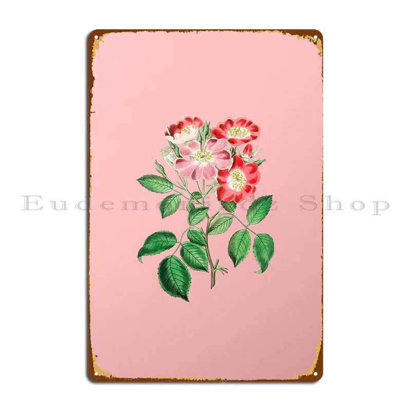 Rose Clare Flower On Pink Metal Plaque Poster Rusty Party Living Room Designer Retro Tin Sign Poster