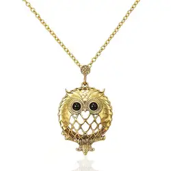 Owl Necklace Retro Hollow Magnifying Glass Long Sweater Chain Glass Pendant Female