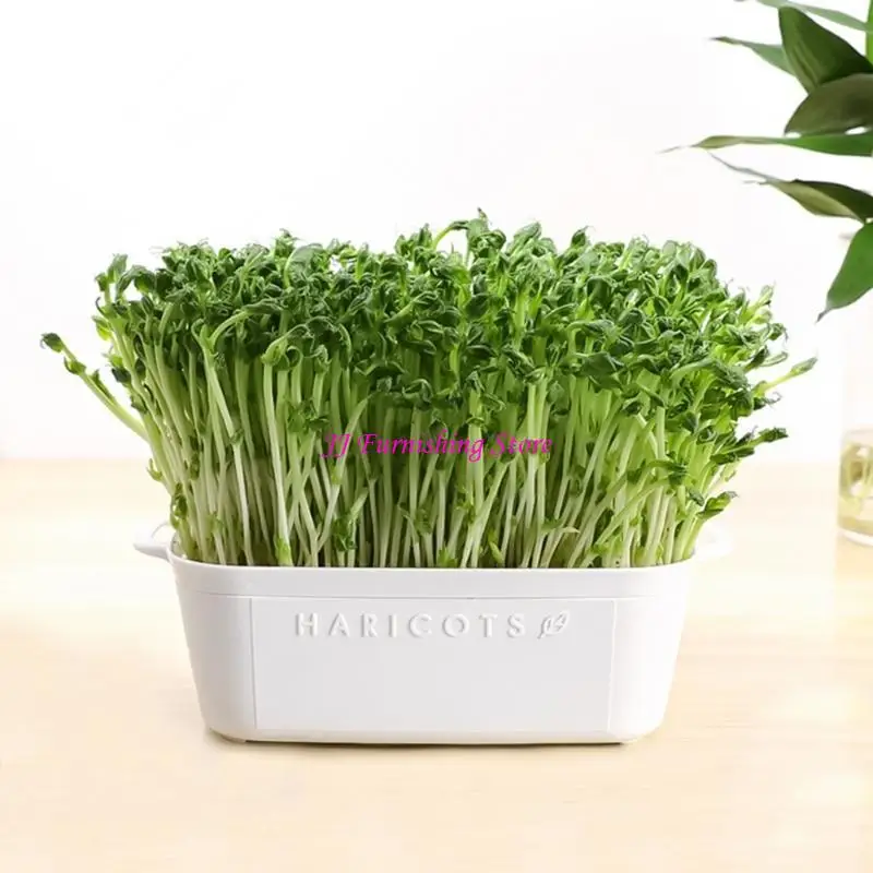 

A9LB Microgreens Sprouter Tray Bean Sprout Grower Space Saving Sprouting Basket for Garden Enthusiasts Kitchen Gardening Tool